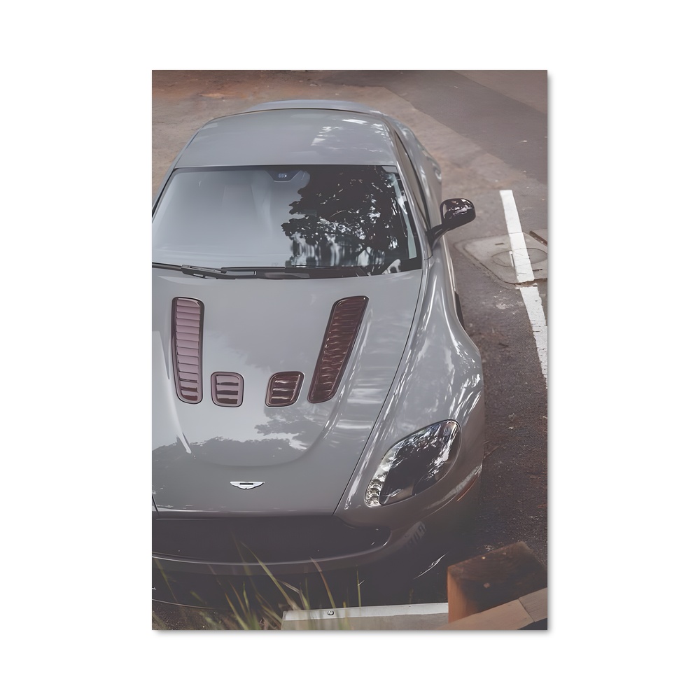 Poster Vantage Silver